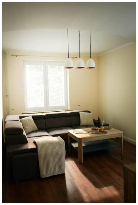 Color 24 Apartament VII ستالوفا فولا المظهر الخارجي الصورة