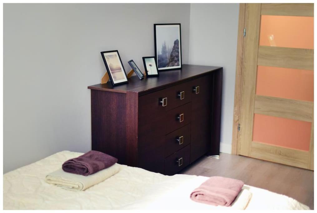 Color 24 Apartament VII ستالوفا فولا المظهر الخارجي الصورة
