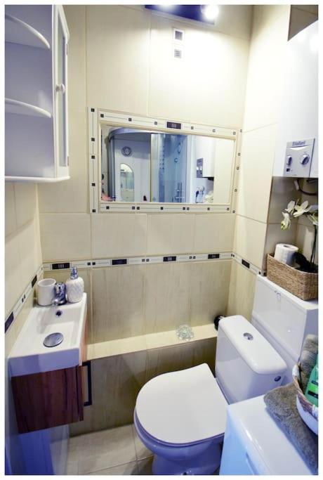 Color 24 Apartament VII ستالوفا فولا المظهر الخارجي الصورة