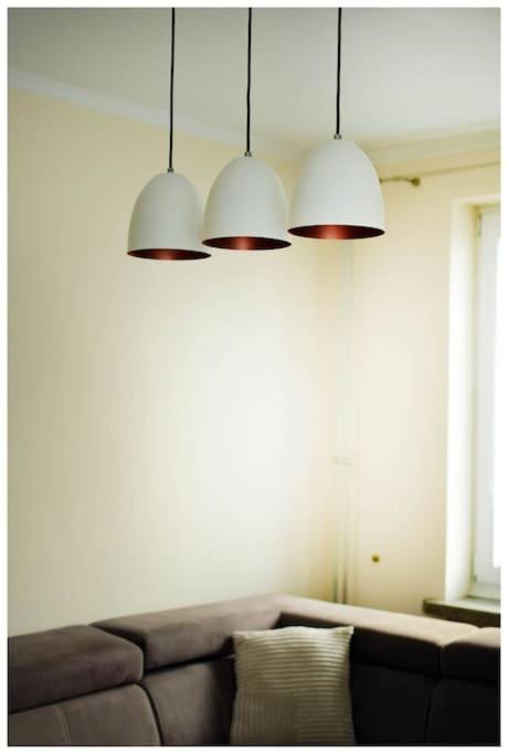 Color 24 Apartament VII ستالوفا فولا المظهر الخارجي الصورة