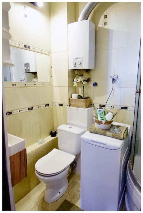 Color 24 Apartament VII ستالوفا فولا المظهر الخارجي الصورة