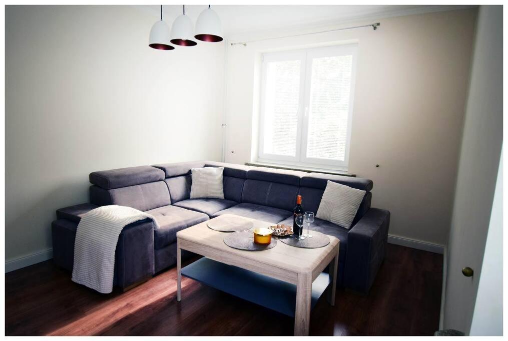 Color 24 Apartament VII ستالوفا فولا المظهر الخارجي الصورة